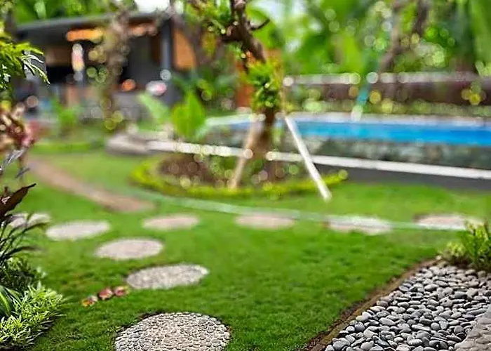 Dupa